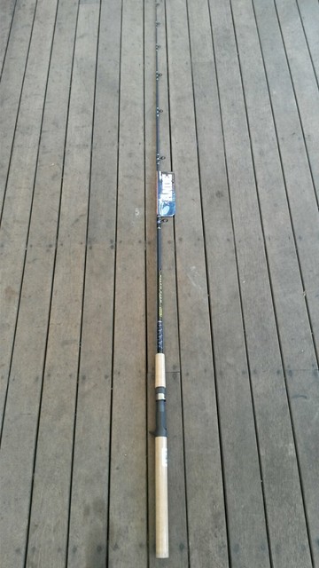 ande fishing rods