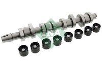 Ina 428 0042 30 Nockenwellensatz For Audi Ford Seat Skoda Vw