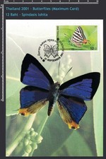 BUTTERFLY  Spindasis lohita  - Maximum Card - Thailand 2001 - Very Fine