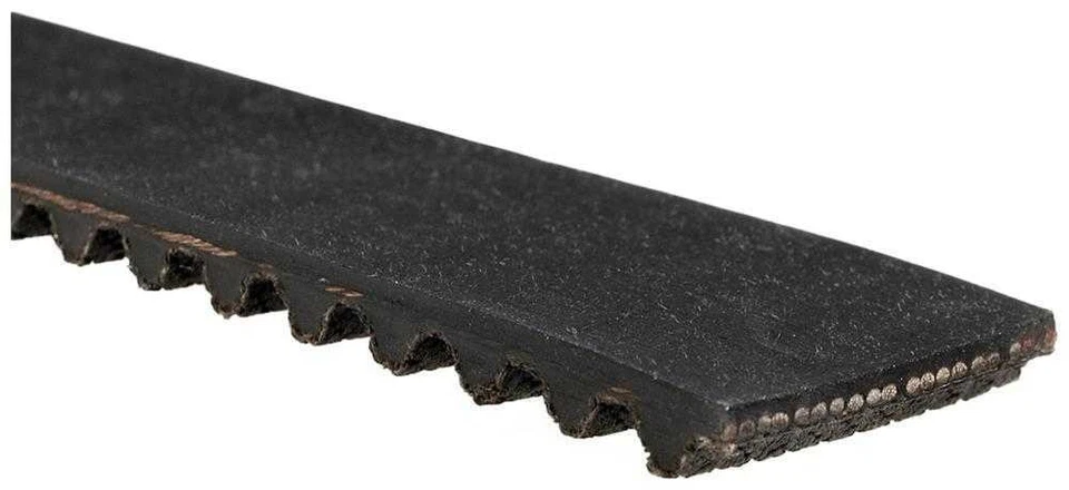 Correa de distribución del motor Foto 2 de 4