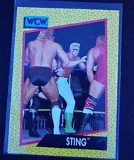 1991 WCW Sting #1 Turner Home Entertainment