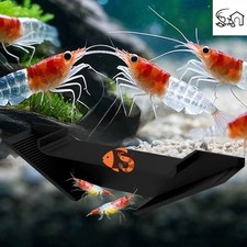 Aquarium Underground Tunnel Cave with Ladder Viewing Window   Fish Shrimp Frogs