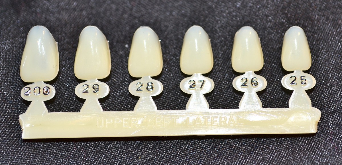 10 Upper Left Lateral tooth - Dental Polycarbonate Temporary