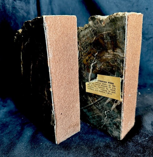 Ancient Petrified Wood Polished Bookends Variegated Brown Felted - Picture 2 of 8
