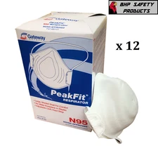 Peakfit N95 NIOSH Approved Particulate Respirator Mask 80101, Case of 240 Masks