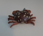 Rare Kaiyodo Epoch Toxic Floral Egg Crab Figure With Fish — photo 3