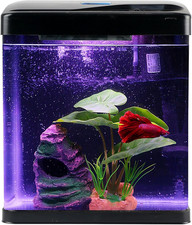 Betta Fish Tank Self Cleaning Glass 2 Gallon Small Nano Aquarium Starter Kits De