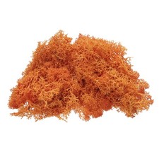 Preserved Reindeer Moss, 4 OZ Fake Moss for Crafts Orange 