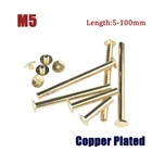 Copper Plated Chicago Binding Screw Barrels and Screws Barrel Nuts and Bolt