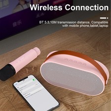 Mini Karaoke Machine With 2 Wireless Microphones Portable BT Speaker TQNR