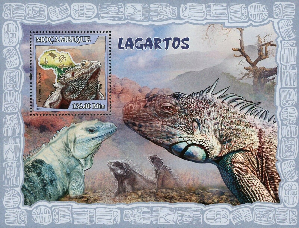 Lizards Stamp Pogona Vitticeps Reptile Souvenir Sheet MNH #2997