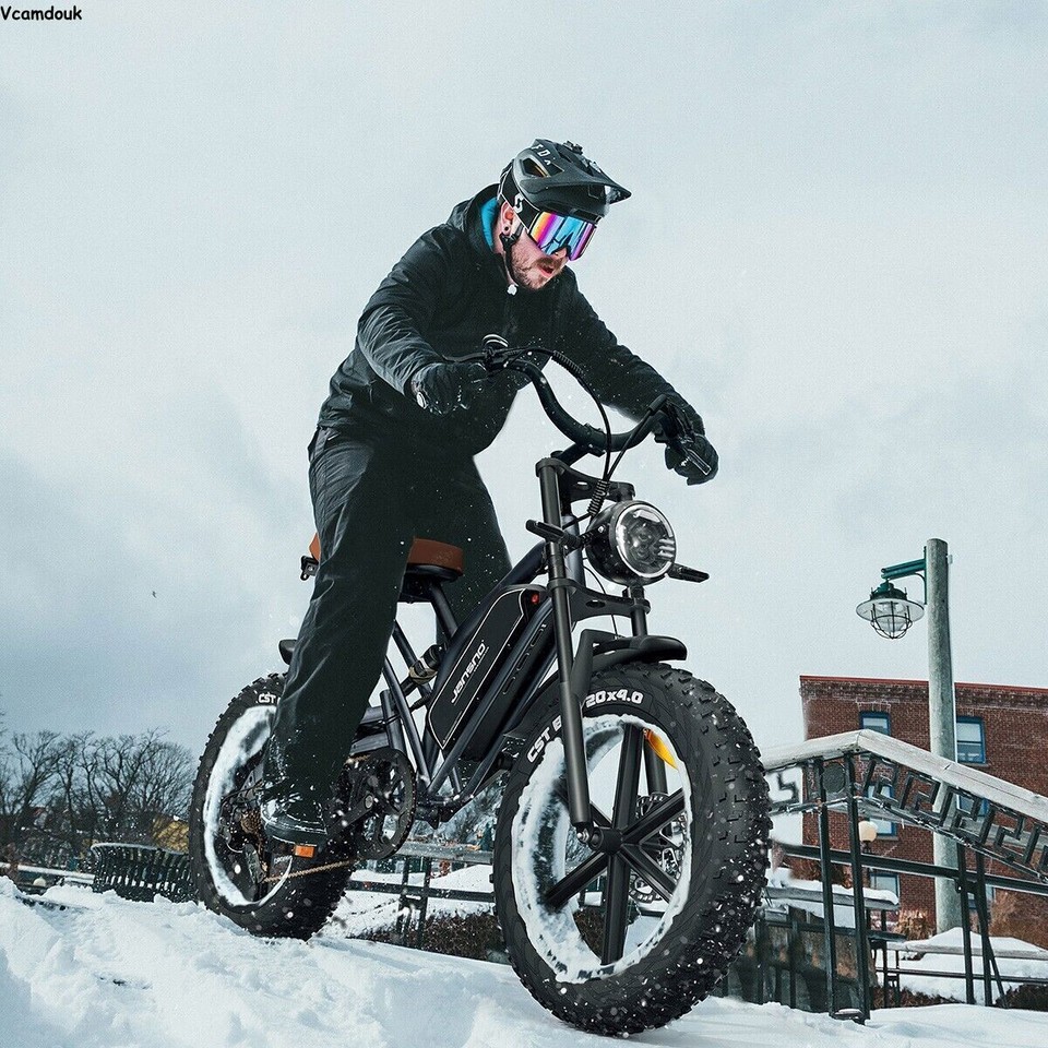 20" Electric Bike 75OW 48V 14Ah Fat Tire Mountain Bike MTB Offroad E