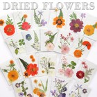 <!--F#f_0-->New Dried Flower Embossed Drop Glue Bookmark Handmade Material<!--F/-->