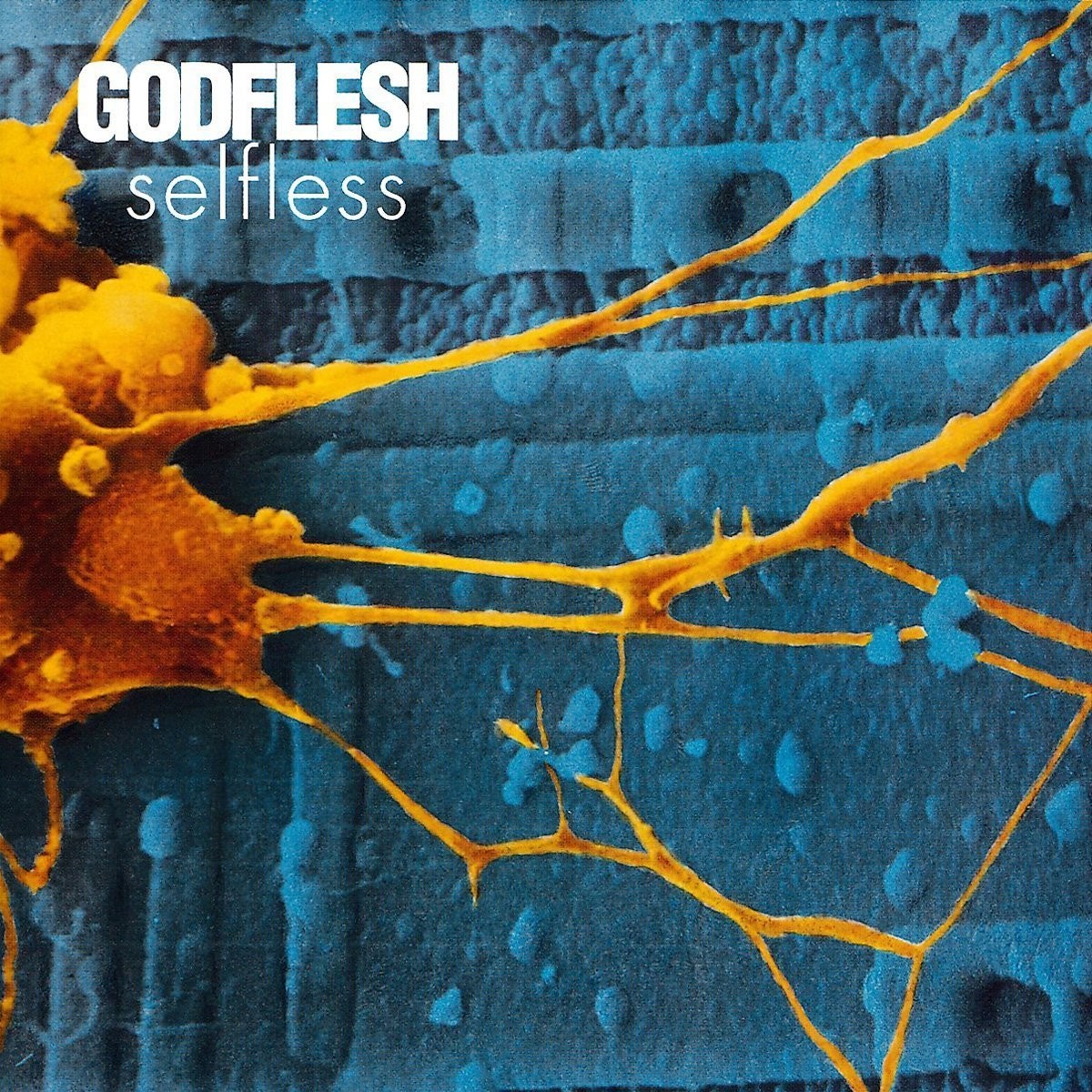 Godflesh Selfless (CD) Album