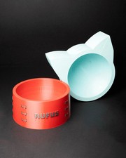 Personalized Pet Bowl for Cats  Dogs  Custom Name Bowl