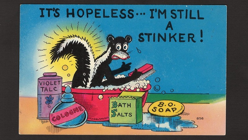 Vintage humorous postcard - It's hopeless... I'm a Stinker ShiniColor 1956