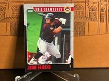 Josue Briceño, Detroit Tigers #3 Overall Prospect - 2025 Unique MiLB Card