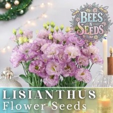 Starlight Lilac Lisianthus Seeds - 125-5000 Seeds Flower Seed Non Gmo Heirloom