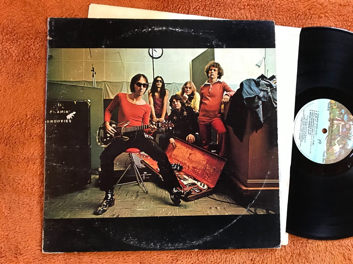 Flamin’ Groovies レコード　2枚組　1972年　オリジナル Flamin' Groovies レコード 2枚組 1972年 オリジナル Flamin' Groovies