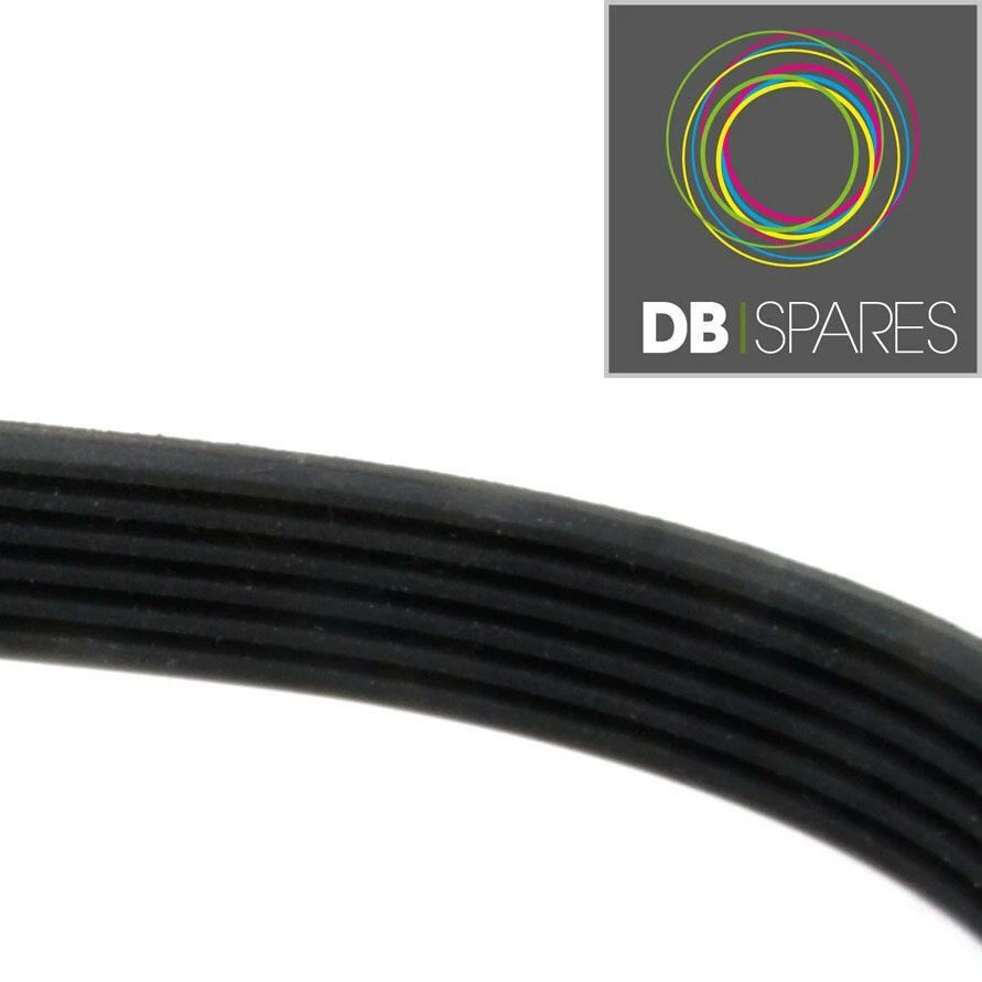 Correa de transmisión Vega 6PJ490 genuina para cortadoras de césped Qualcast / Soverign Argos 6 PJ490 Foto 2 de 3