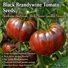 Black Brandywine Tomato Seeds Heirloom Beefsteak Large Dark Garden Tomatoes