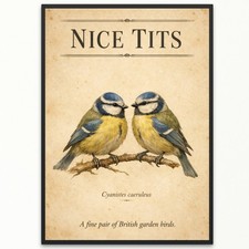 Nice T*ts Blue Tit Bird Print Wall Print Art Poster Funny Housewarming Gift