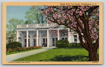 Washington DC~Hains Point Tea House~Flowering Tree~Columns~1940s Linen Postcard