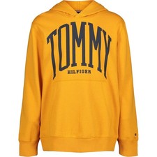 Tommy Hilfiger Toddler Boys Recycled Tommy Pullover Hoodie Size 2T