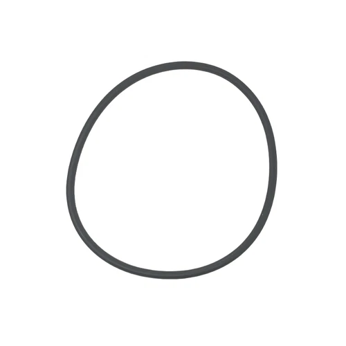 Intex Laubfallenabdeckung Deckel O-Ring für SF80110-1 Schwimmbad Sandfilterpumpe - Bild 1 von 2