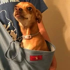New Pet dog cat sling carrier many colors  kids adult  XXS - 3XL plus size