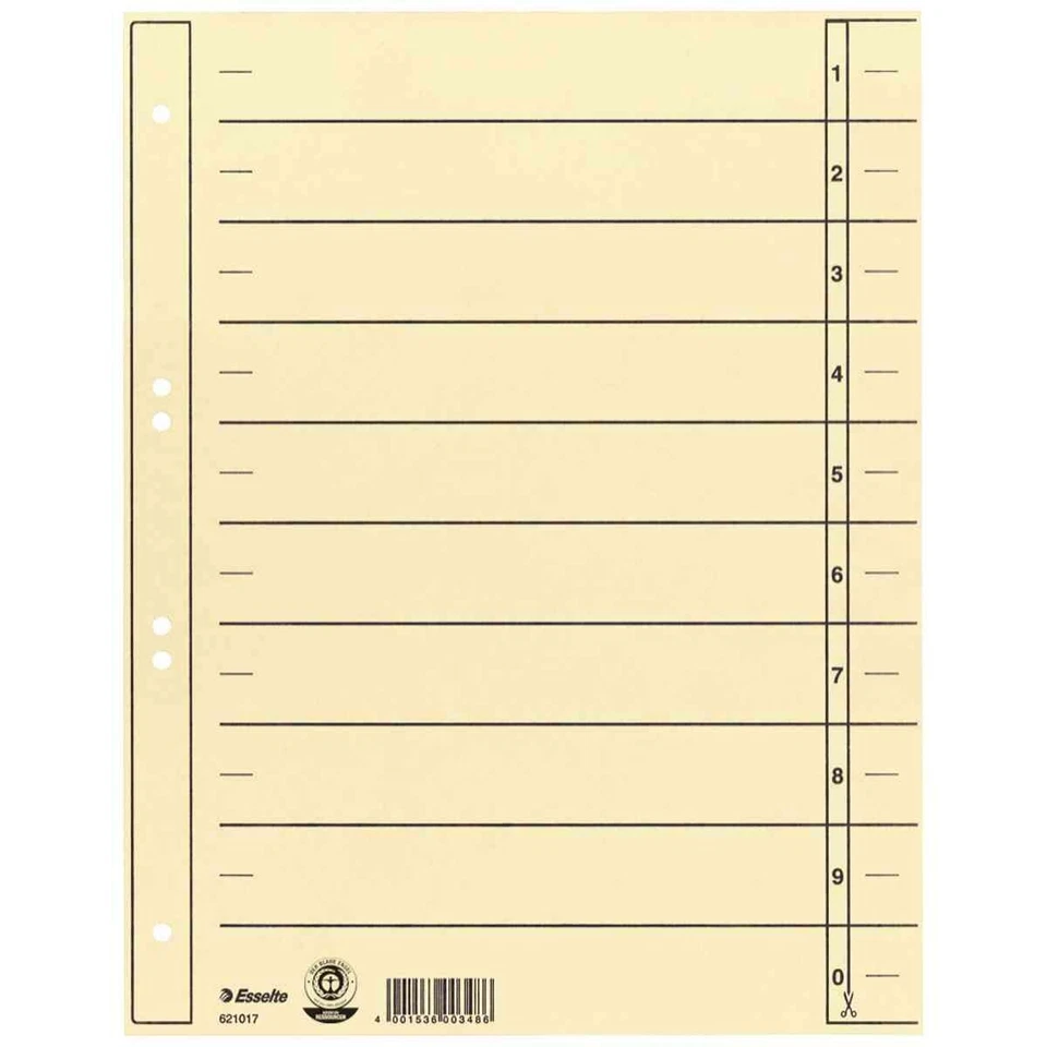 ESSELTE Trennblätter 621017 A4 chamois 230g 100 Stück