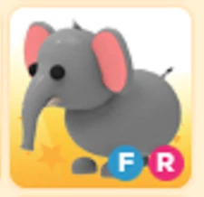 Summer Festival | FR Elephant | Adopt From