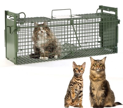 40 Inch 2 Door Live Animal Trap Humane Cage For Cats Raccoons Squirrel