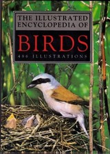 The Illustrated Encyclopedia Of Birds, , Used; Good Book