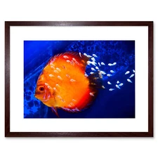 Discus Fish Ocean Sea Art Framed Wall Art Print