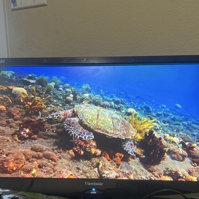 ViewSonic VA2446M-LED 24'' LED Monitor 1920x1080 VGA Widescreen Black