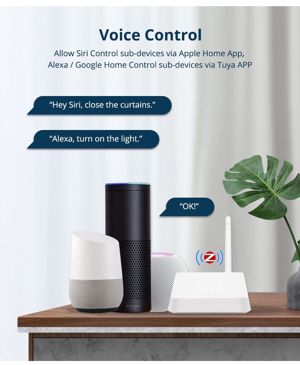 Voice Commands Ok Google Alexa Siri Voice Assistant Asistente
