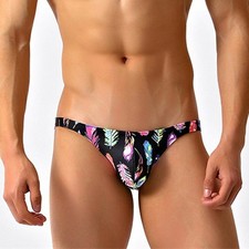 Men Swim Briefs Low Waist Beach Bikini Swimsuit Bathing Suit Gay Trunks Shorts