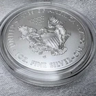 2013-W American Eagle 1oz Burnished .999 Silver OGP & COA [d1]