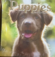 2026 PUPPIES Wall Calendar 12 Month 12” X 24” FREE SHIPPING
