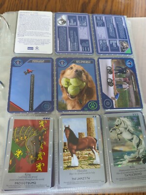 Binder With Various Horse Bella Sara And Neopet Trading Cards | eBay Binder With Various Horse Bella Sara And Neopet Trading Cards | eBay