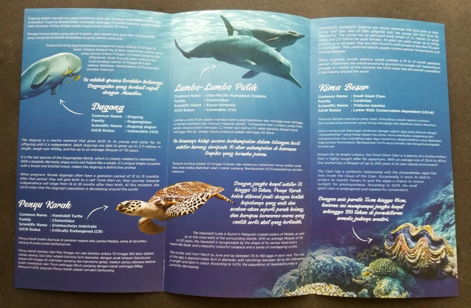 Malaysia Definitive Iconic Marine Life 2020 Whale Turtle (FDC pair *odd *unusual - Image 3 of 4