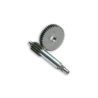 Malossi HTQ Z13/44 BETAMOTOR 50 Eikon 1998-2005 Primary Gear