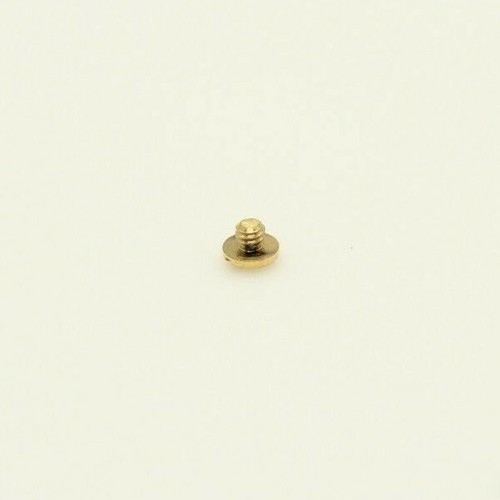 Wave Ebel Band Screw to Case 2.6 mm Head Size Bracelet Screw to Case Wave Sport - Picture 5 of 23