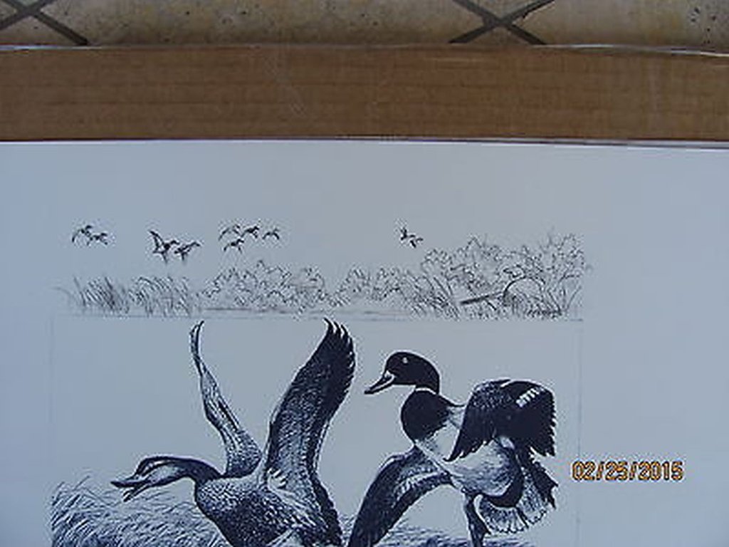 Picture 2 of 4