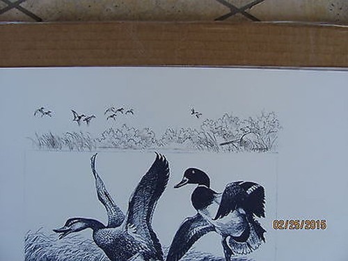 #RW1-DDF Ding Darling Federal Duck Print Remarque #RWDDF RJ - Picture 2 of 4