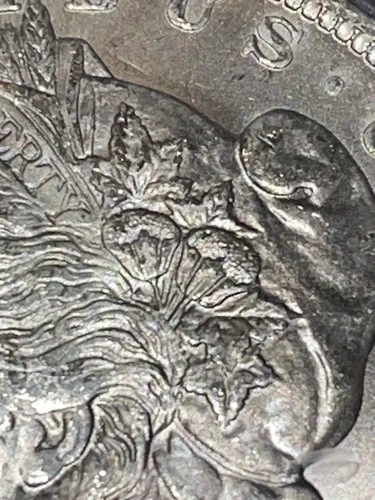 Morgan Silver Dollar 1885-O - Vam 1C ICG MS64