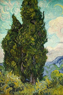 Vincent van Gogh Cypresses Dutch Post Impressionist Landscape Poster 12x18