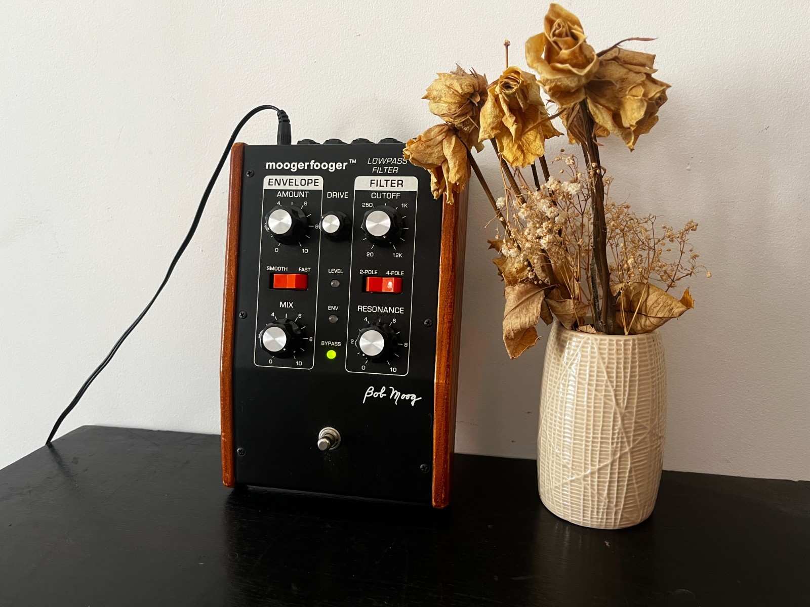 Moog MF101 Analog Filter Rare Edition