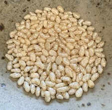 Beads 200 Rice Pearls Off White Approx. 6mm for Crafting or Jewelry Making